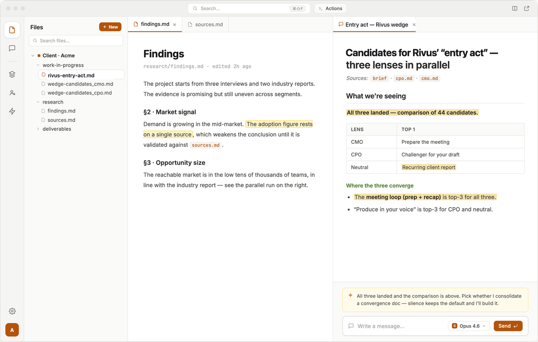 Rivus — work session: files, document and live session side by side